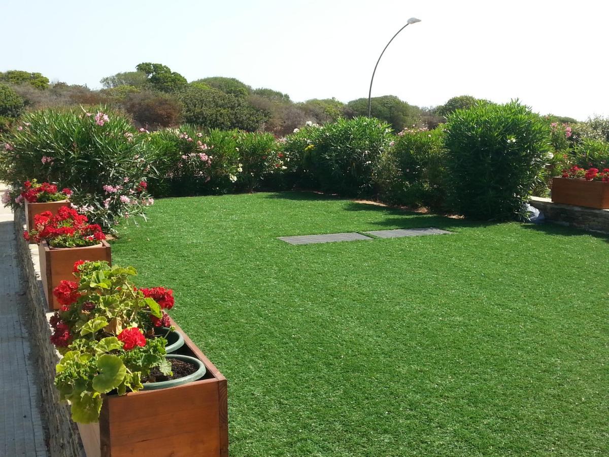 Stintino B&B מראה חיצוני תמונה